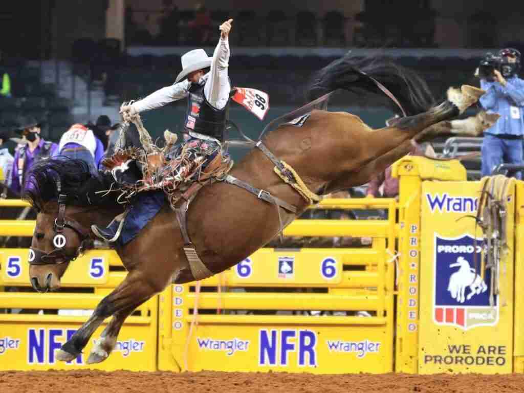 Prca Rodeo Schedule 2024 Las Vegas Colorado Rockies Schedule 2024