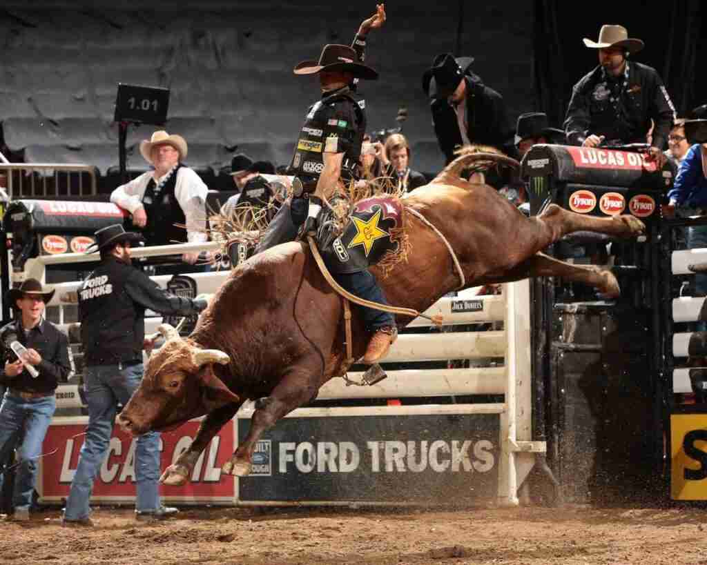 Las Vegas Bull Riding 2024 Tickets Dani Ardenia