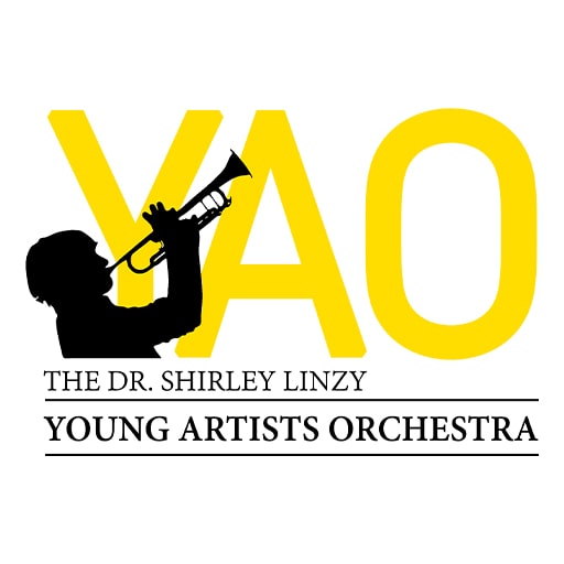 Young Artists Orchestra